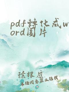 pdf转化成word图片