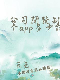 公司开发制作一个app多少钱