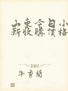 山东今日小麦最新收购价格