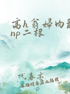 高h翁妇肉乱文np二根