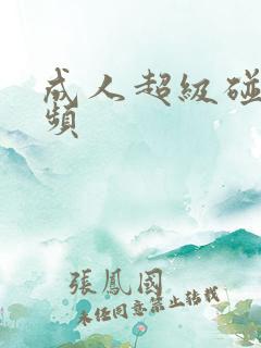 成人超级碰碰视频