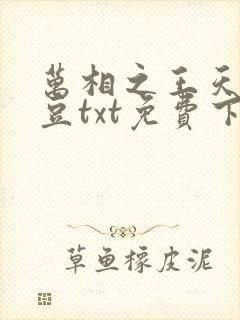 万相之王天蚕土豆txt免费下载