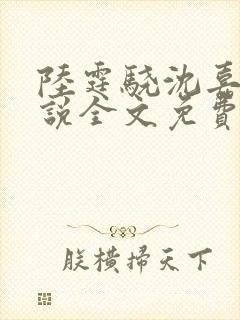 陆霆骁沈嘉禾小说全文免费阅读最新章节
