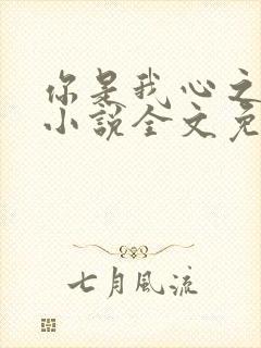 你是我心之所向小说全文免费阅读