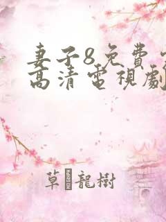 妻子8免费完整高清电视剧看