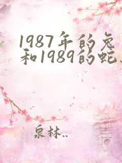 1987年的兔和1989的蛇结婚怎么样