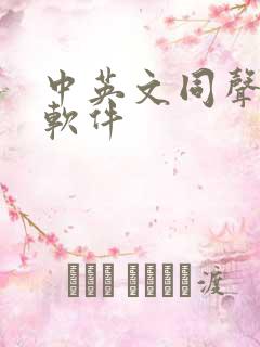 中英文同声翻译软件