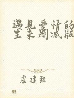 遇见爱情的利先生未删减版