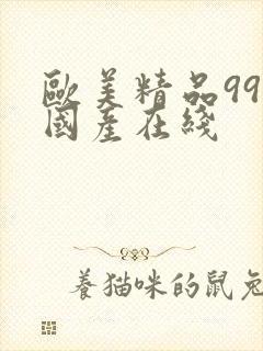 欧美精品99久国产在线