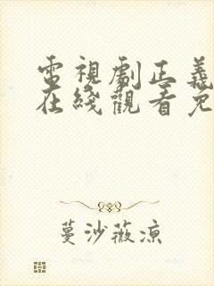电视剧正义无敌在线观看免费全集高清