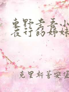 东野圭吾小说白夜行的姊妹篇