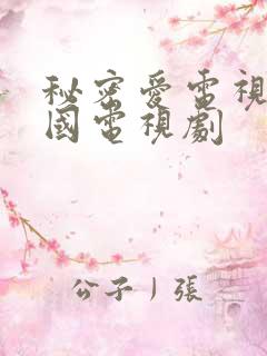 秘密爱电视剧韩国电视剧