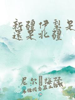 新疆伊犁是南疆还是北疆