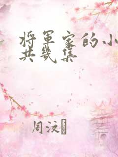 将军家的小娘子共几集