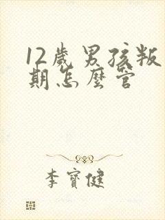 12岁男孩叛逆期怎么管