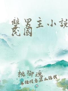 双男主小说推荐民国