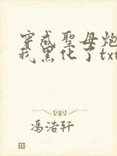 穿成圣母炮灰后我黑化了txt