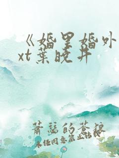 《婚里婚外》txt叶晓井