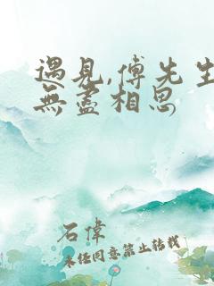 遇见,傅先生 无尽相思