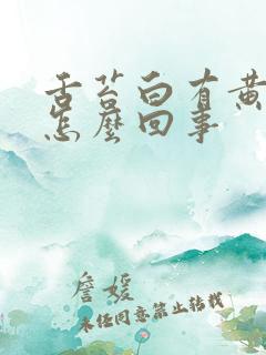 舌苔白有黄痰是怎么回事