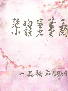 楚昀宁萧王穿越小说免费阅读无弹窗