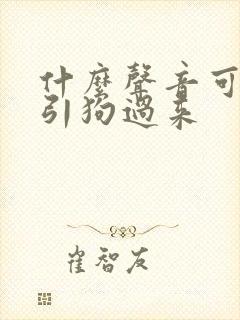 什么声音可以吸引狗过来