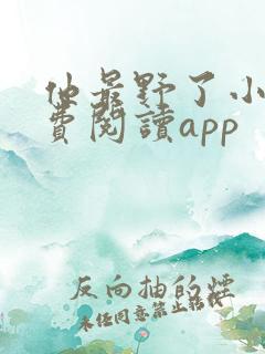 他最野了小说免费阅读app