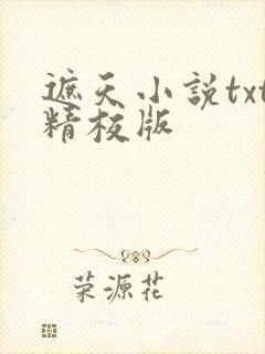 遮天小说txt精校版