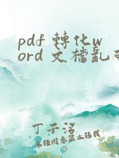 pdf 转化word 文档乱码了怎么办?