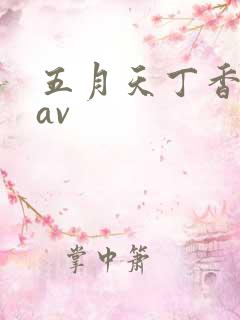 五月天丁香亚洲av