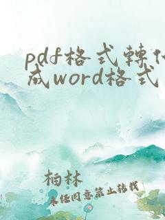 pdf格式转化成word格式