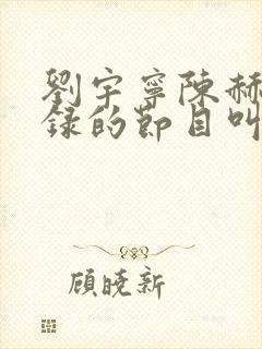 刘宇宁陈赫最近录的节目叫什么