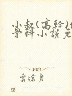 小叔(高干)伪骨科小说免费阅读双男主