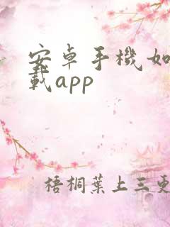 安卓手机如何下载app