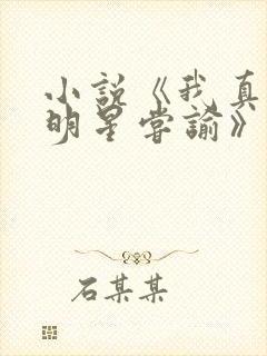 小说《我真是大明星尝谕》