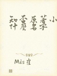 知否原著小说叫什么名字