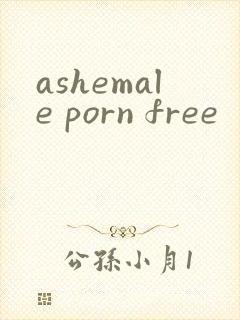 ashemale porn free