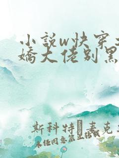 小说w快穿之病娇大佬别黑化》