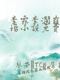 李霖李澜巅峰官场小说免费阅读