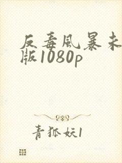 反毒风暴未删减版1080p