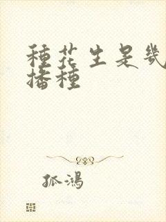 种花生是几月份播种