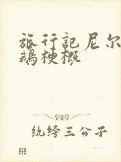 旅行记尼尔斯骑鹅梗概