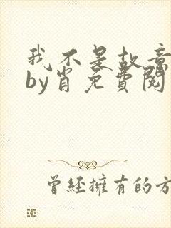 我不是故意出轨by肖免费阅读