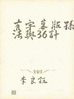 有字幕版孙子兵法与36计