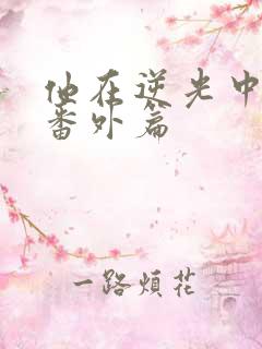 他在逆光中告白番外篇