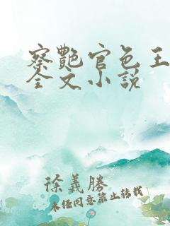 察艳官色王冰冰全文小说