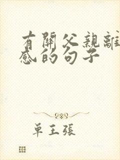 有关父亲离世伤感的句子