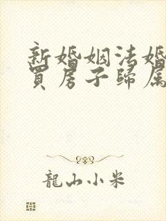 新婚姻法婚前购买房子归属问题