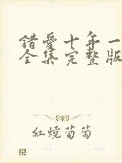 错爱十年一场空全集完整版