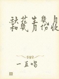 秋花生几月份种和几月份收